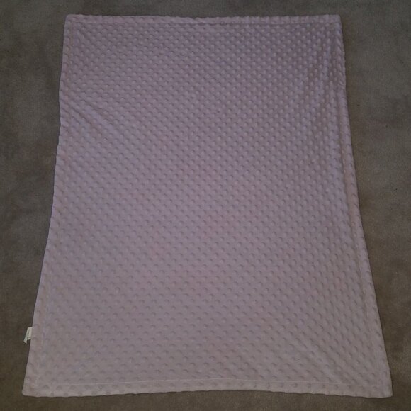 Homritar Pink White Rose Flowers Minky Dot Baby Blanket Girl Soft Fleece 30x40 - Picture 6 of 6